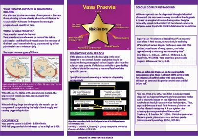 tri fold brochure for Vasa Praevia Ireland